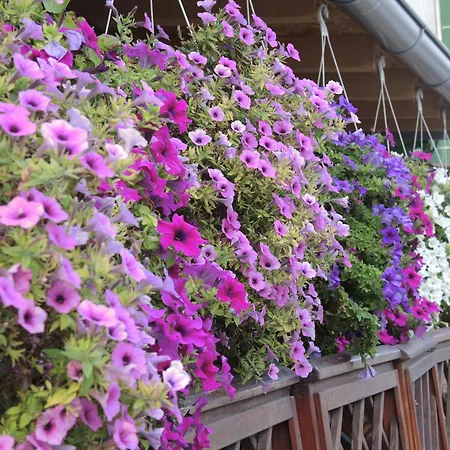 Rooms&restaurant 43 Belgrade